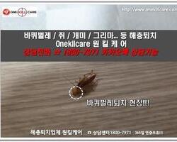바퀴벌레퇴치 현장-4월 