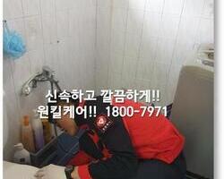 바퀴벌레퇴치 현장 - 1월
