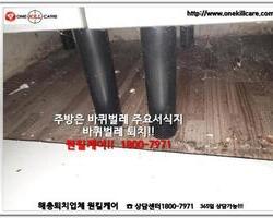 바퀴벌레퇴치 현장-6월 