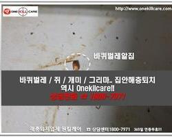 바퀴벌레퇴치 현장-3월