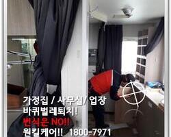 바퀴벌레 현장에서 - 2월