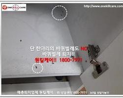 바퀴벌레퇴치 현장-8월 