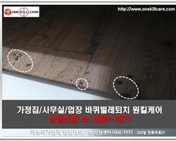 바퀴벌레 현장에서 -3월 