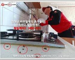 바퀴벌레 현장에서 -3월 