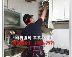 바퀴벌레퇴치 현장-5월 