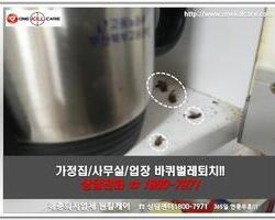 바퀴벌레 현장에서 -3월 