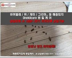 바퀴벌레퇴치 현장-4월 