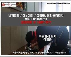 바퀴벌레퇴치 현장-3월 