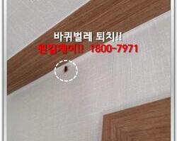 바퀴벌레퇴치 현장-5월