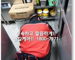 바퀴벌레퇴치 현장 - 1월