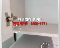 바퀴벌레퇴치 현장-5월