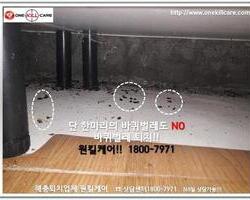 바퀴벌레퇴치 현장-8월 