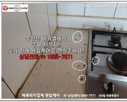 바퀴벌레 현장에서 -3월