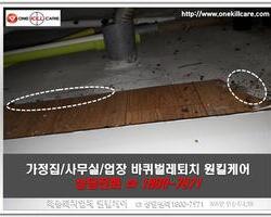 바퀴벌레 현장에서 -3월 