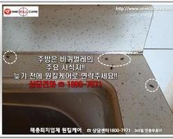 바퀴벌레 현장에서 -3월