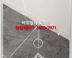 바퀴벌레퇴치 현장-5월