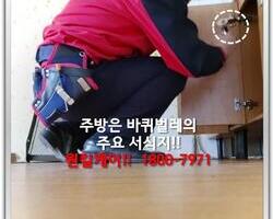 바퀴벌레 현장에서 -3월