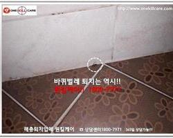바퀴벌레퇴치 현장-8월 