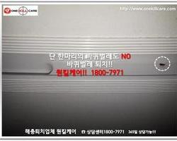 바퀴벌레퇴치 현장-6월 