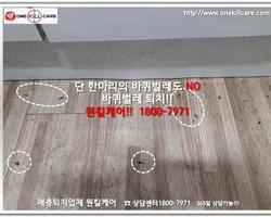 바퀴벌레퇴치 현장-6월 