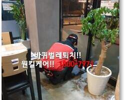 바퀴벌레퇴치 현장 - 1월