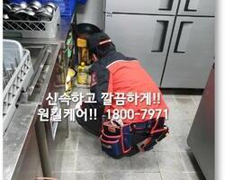 바퀴벌레퇴치 현장 - 1월
