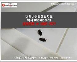 바퀴벌레 현장에서 -3월 