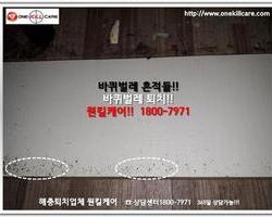 바퀴벌레퇴치 현장-6월 