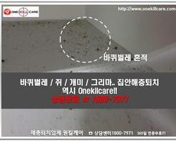 바퀴벌레퇴치 현장-3월