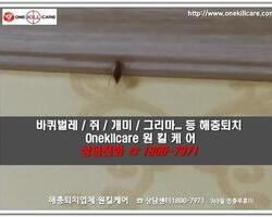 바퀴벌레퇴치 현장-4월 