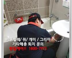 바퀴벌레퇴치 현장-5월 