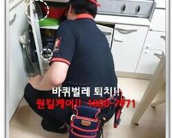 바퀴벌레퇴치 현장-5월 