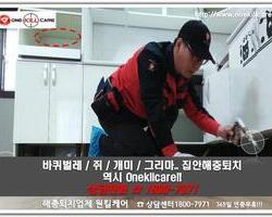 바퀴벌레퇴치 현장-3월 