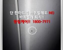 바퀴벌레퇴치 현장-6월 