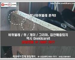 바퀴벌레퇴치 현장-3월
