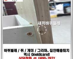 바퀴벌레퇴치 현장-3월