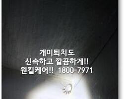 개미퇴치 현장 - 1월