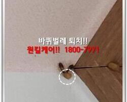 바퀴벌레퇴치 현장-5월