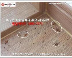 바퀴벌레퇴치 현장-5월