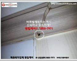 바퀴벌레 현장에서 - 1월 