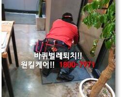 바퀴벌레퇴치 현장 - 1월