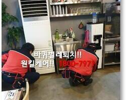 바퀴벌레퇴치 현장 - 1월