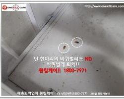 바퀴벌레퇴치 현장-8월 