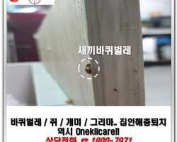 바퀴벌레퇴치 현장-3월
