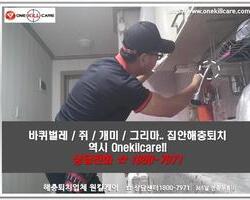 바퀴벌레퇴치 현장-3월 