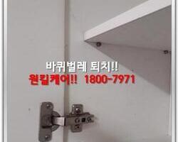 바퀴벌레퇴치 현장-6월 