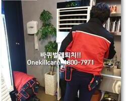 바퀴벌레퇴치 현장 - 1월