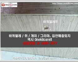 바퀴벌레퇴치 현장-3월