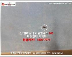 바퀴벌레퇴치 현장-6월 