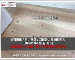 바퀴벌레퇴치 현장-4월 